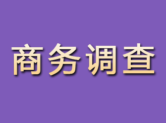 沐川商务调查